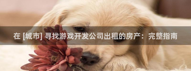 沐鸣游戏~53866：在 [城市] 寻找