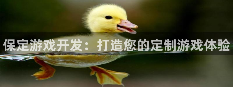 沐鸣在线登录：保定游戏开发：打造您的定制