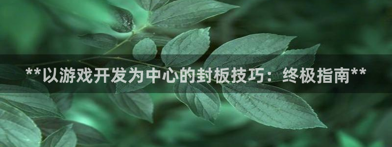 沐鸣注册：**以游戏开发为中心的封板技巧