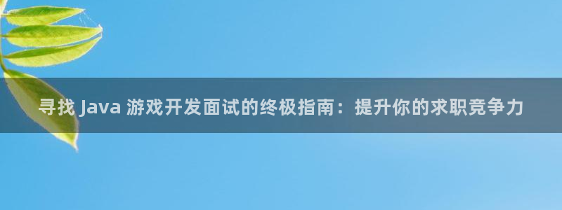 沐鸣平台注册登陆：寻找 Java 游戏开
