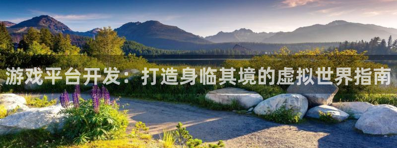 沐鸣网址官网：游戏平台开发：打造身临其境