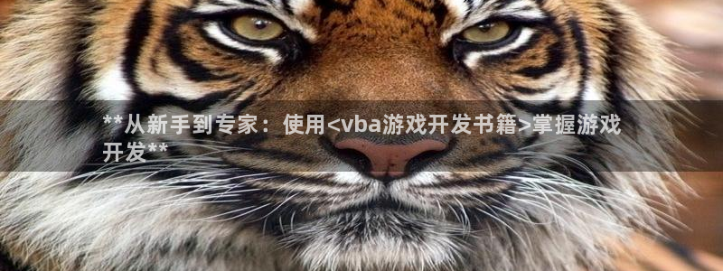 沐鸣官网注册：**从新手到专家：使用<v