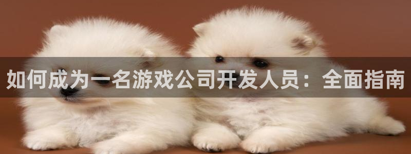 沐鸣娱乐是干嘛的：如何成为一名游戏公司开