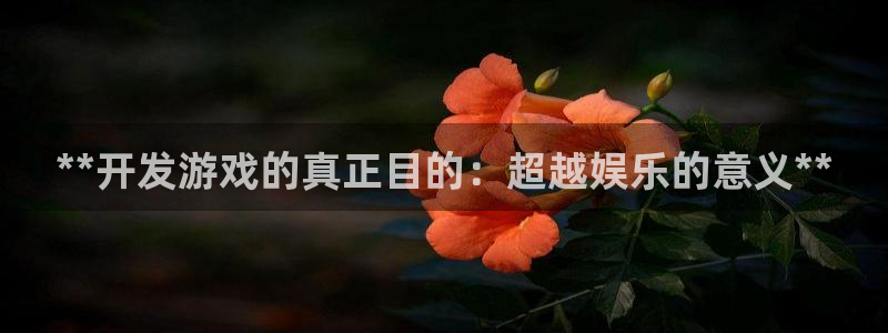 沐鸣1登录地址：**开发游戏的真正目的：