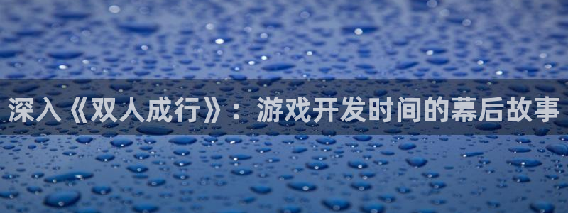 沐鸣登录网址是什么：深入《双人成行》：游