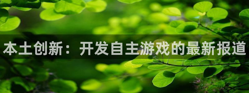 沐鸣平台登陆线路：本土创新：开发自主游戏