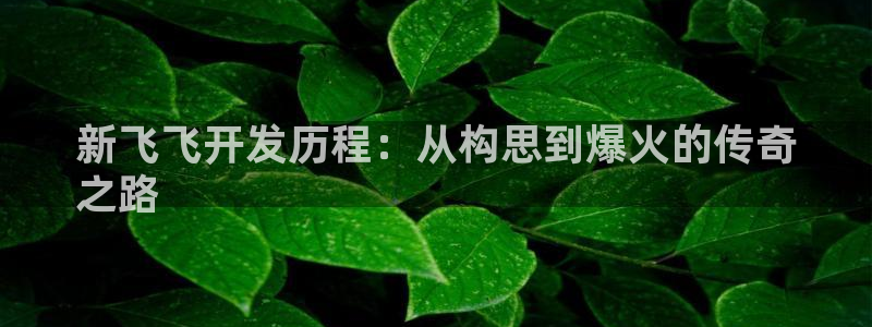 沐鸣娱乐平台登录入口：新飞飞开发历程：从