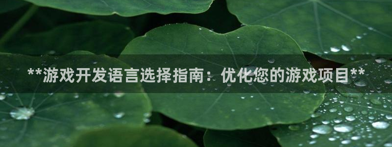 沐鸣娱乐注册平台有哪些：**游戏开发语言