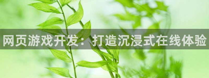 沐鸣娱乐平台登录入口：网页游戏开发：打造