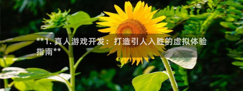 沐鸣网址：**1. 真人游戏开发：打造引