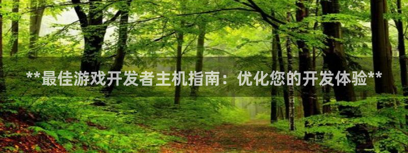 沐鸣平台注册：**最佳游戏开发者主机指南