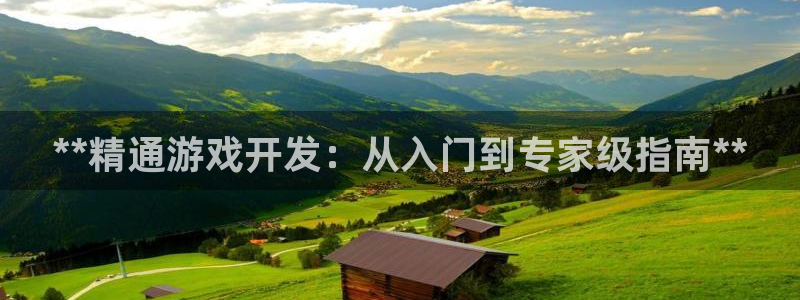 沐鸣科技怎么样：**精通游戏开发：从入门