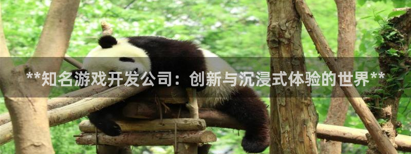沐鸣平台负责人怎么样：**知名游戏开发公