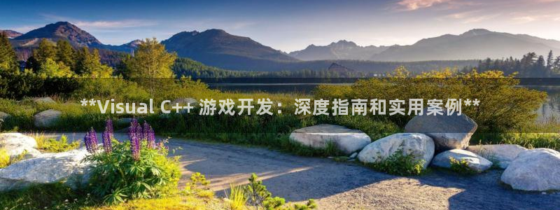沐鸣科技游戏app：**Visual C