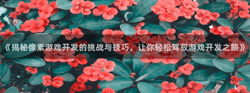 沐鸣娱乐注册网站：《揭秘像素游戏开发的挑