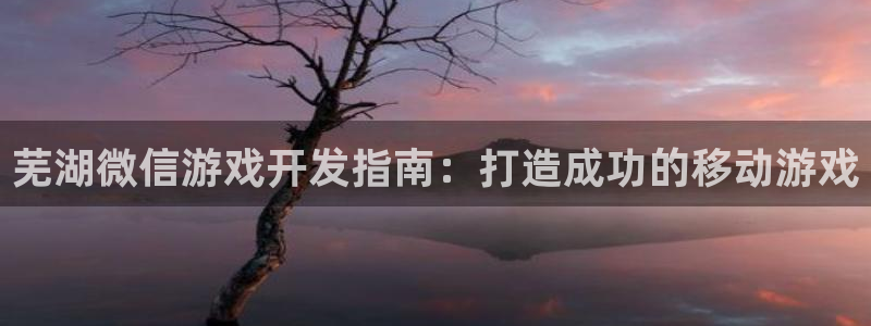 沐鸣娱乐平台登录入口官网：芜湖微信游戏开