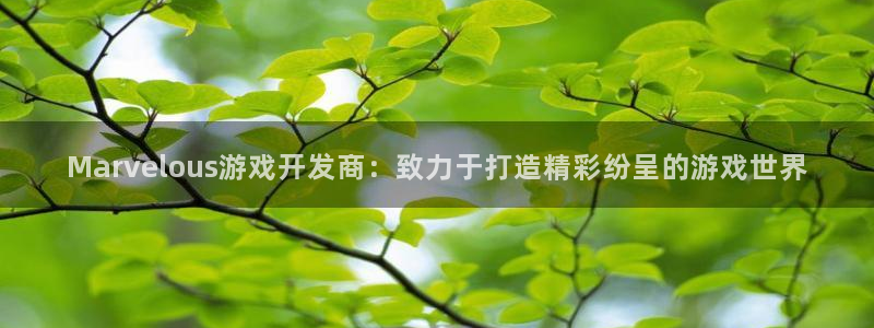 沐鸣平台代理注册多少钱一次啊：Marve