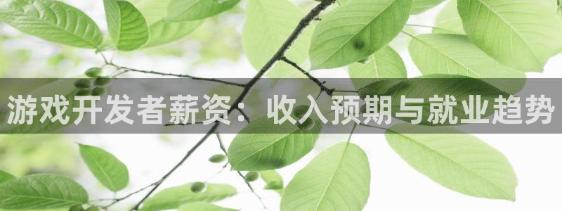 沐鸣平台代理注册多少钱一年：游戏开发者薪