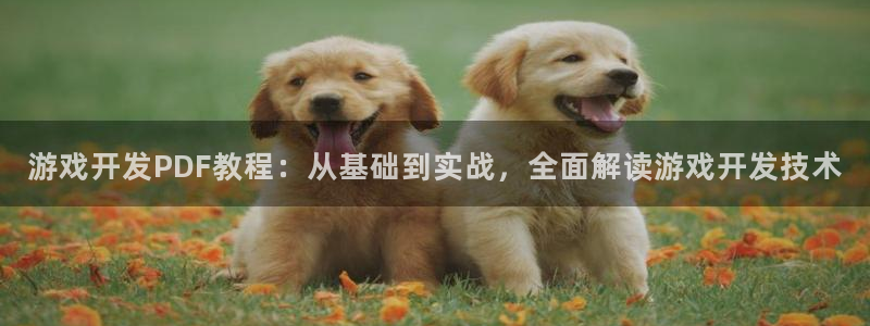 沐鸣科技做的游戏叫什么：游戏开发PDF教