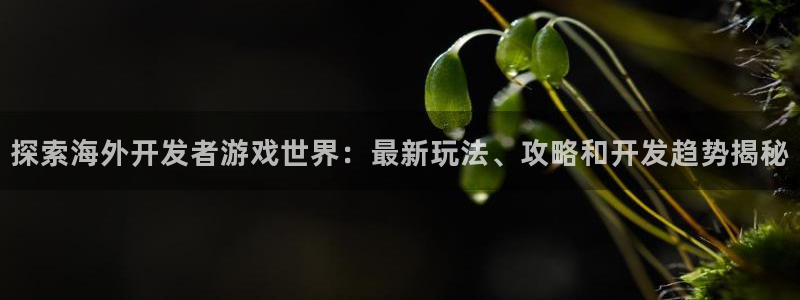 沐鸣注册官方登录app：探索海外开发者游