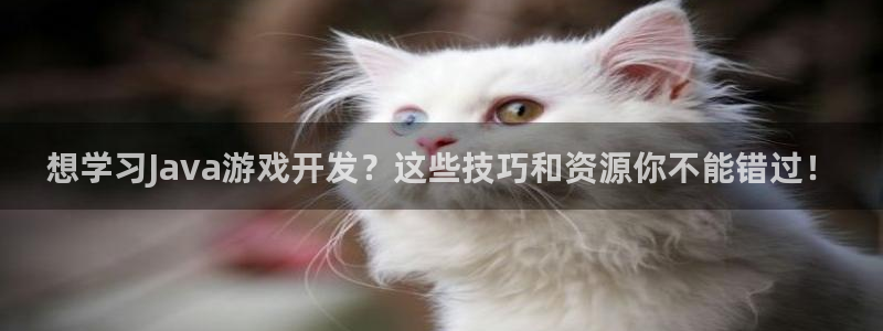 沐鸣3注册：想学习Java游戏开发？这些