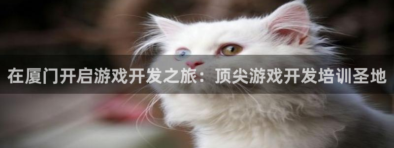沐鸣平台负责人怎么样：在厦门开启游戏开发