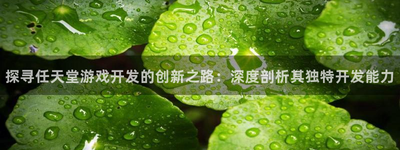 沐鸣平台168：探寻任天堂游戏开发的创新