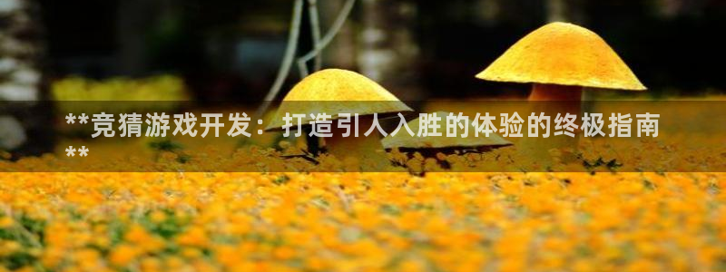 沐鸣平台总代理：**竞猜游戏开发：打造引
