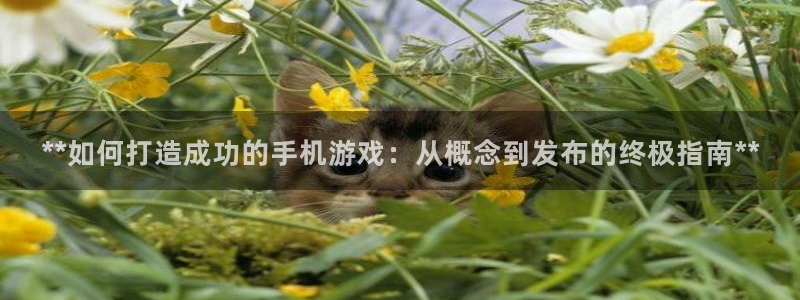 沐鸣注册问一问：**如何打造成功的手机游