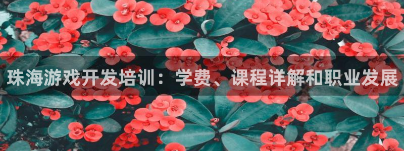 沐鸣账号注册：珠海游戏开发培训：学费、课