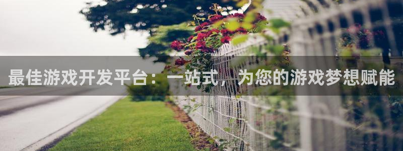 沐鸣平台总代理电话号码：最佳游戏开发平台