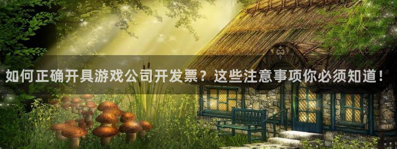 沐鸣网址官网：如何正确开具游戏公司开发票