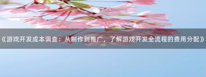 沐鸣怎么注册：《游戏开发成本调查：从制作