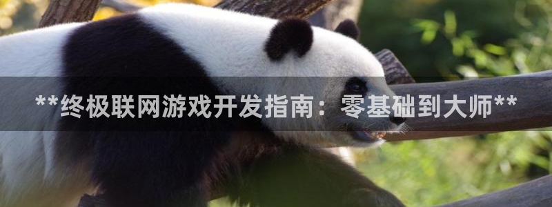 沐鸣在线登录：**终极联网游戏开发指南：