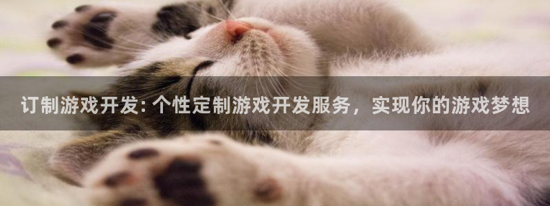 沐鸣注册开户：订制游戏开发: 个性定制游