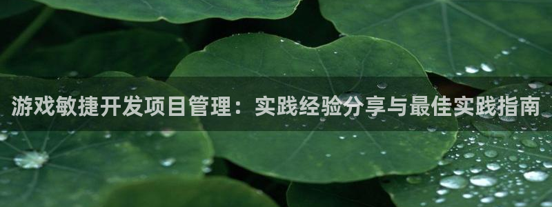 沐鸣娱乐招商：游戏敏捷开发项目管理：实践