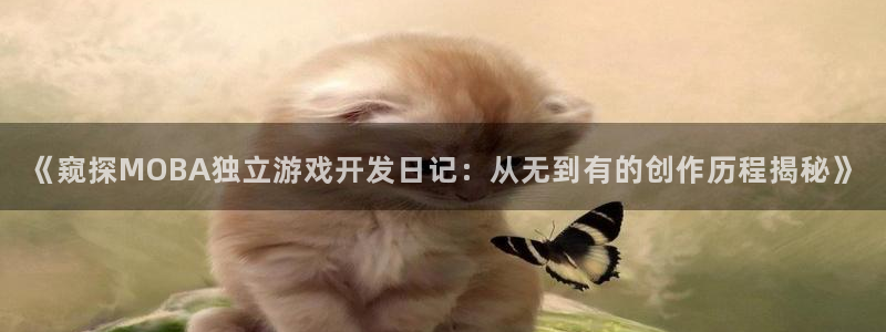 沐鸣娱乐账号怎么注册的：《窥探MOBA独