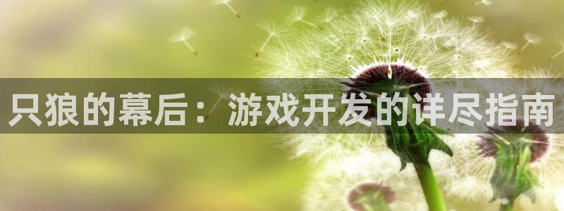沐鸣娱乐游戏：只狼的幕后：游戏开发的详尽