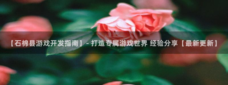 沐鸣娱乐官网登录：【石棉县游戏开发指南】