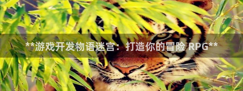 沐鸣娱乐平台登录：**游戏开发物语迷宫：