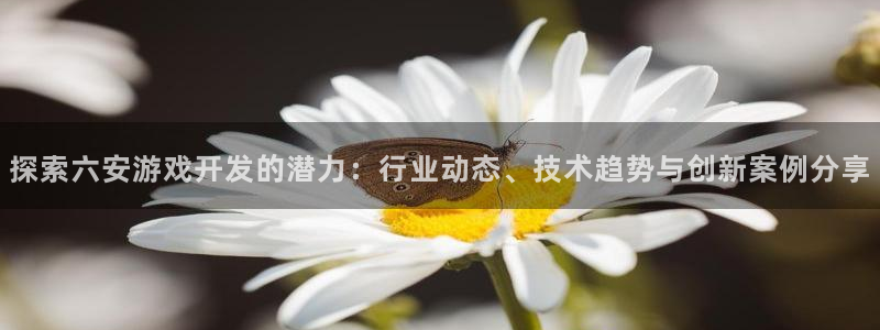 沐鸣娱乐官网入口：探索六安游戏开发的潜力