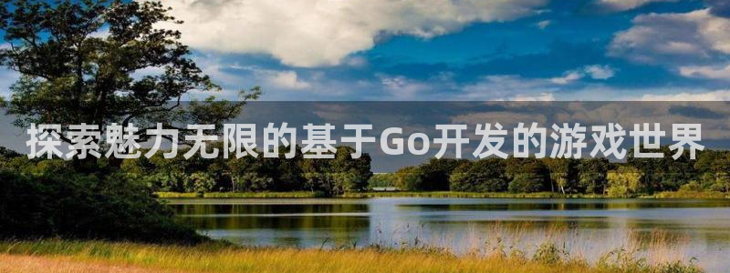 沐鸣娱乐是真的吗：探索魅力无限的基于Go