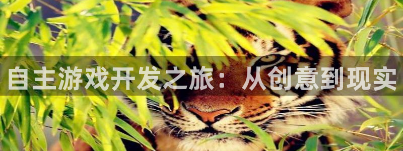 沐鸣娱乐招商：自主游戏开发之旅：从创意到