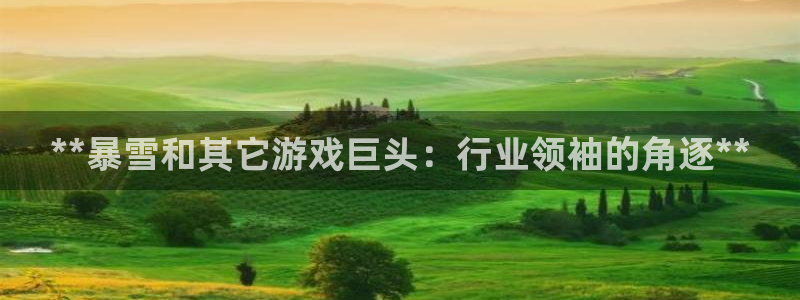 沐鸣娱乐测速：**暴雪和其它游戏巨头：行