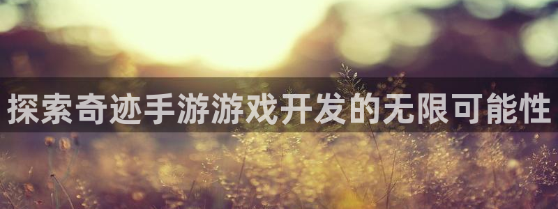 沐鸣平台app下载：探索奇迹手游游戏开发