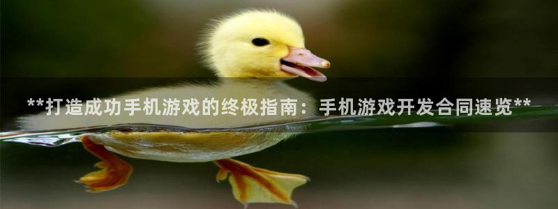 沐鸣平台主管：**打造成功手机游戏的终极