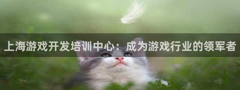 沐鸣娱乐注册网站：上海游戏开发培训中心：