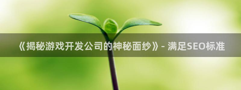 沐鸣娱乐注册网站：《揭秘游戏开发公司的神