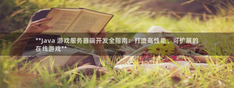 沐鸣娱乐官方网站：**Java 游戏服务