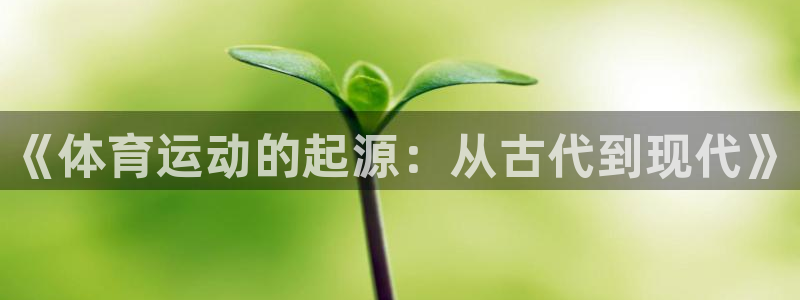 678体育官网：《体育运动的起源：从古代到现代》